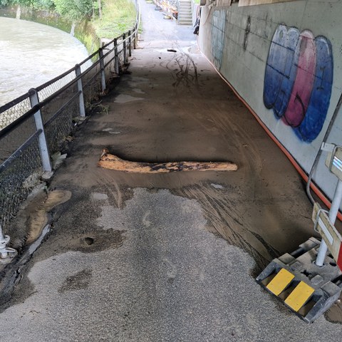 Hochwasser. Vergrösserte Ansicht