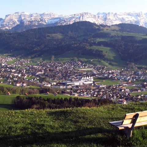 Appenzell. Vergrösserte Ansicht