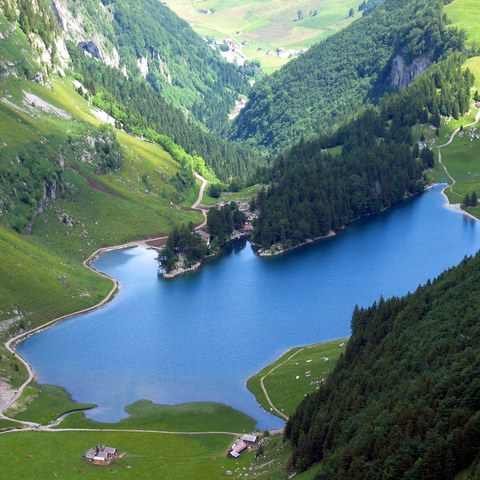 Seealpsee. Vergrösserte Ansicht