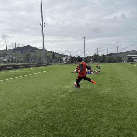 Fussball (20).JPEG. Vergrösserte Ansicht