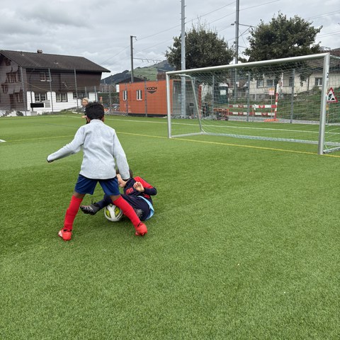 Fussball (3).JPEG. Vergrösserte Ansicht