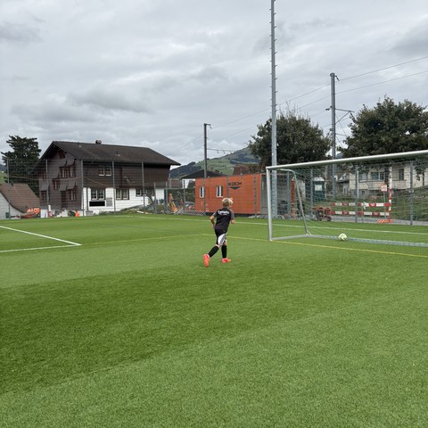 Fussball.JPEG. Vergrösserte Ansicht