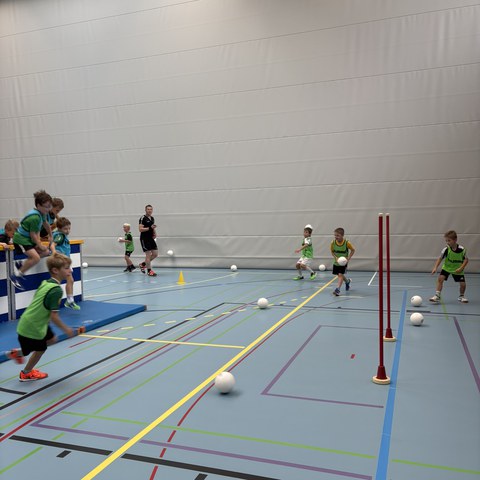 Handball (33).JPEG. Vergrösserte Ansicht