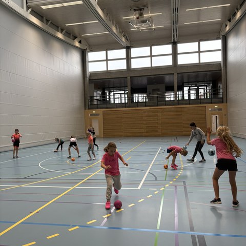 Handball (4).JPEG. Vergrösserte Ansicht