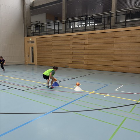 Handball (8).JPEG. Vergrösserte Ansicht
