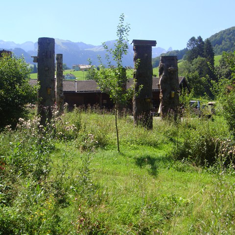 Pflanzgarten Nanisau. Vergrösserte Ansicht