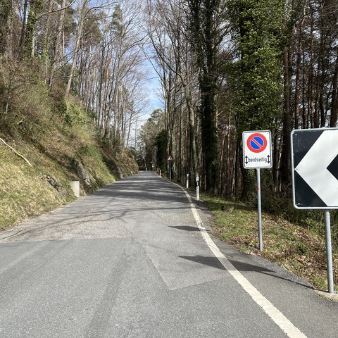 Bild 3 Walzenhausenstrasse in Oberegg. Vergrösserte Ansicht