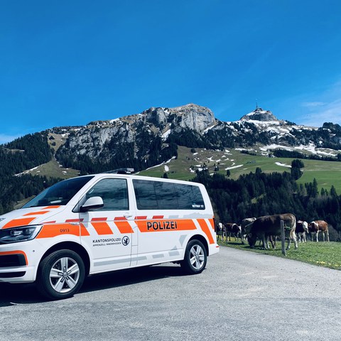 SO 0913 Patrouillenfahrzeug. Vergrösserte Ansicht