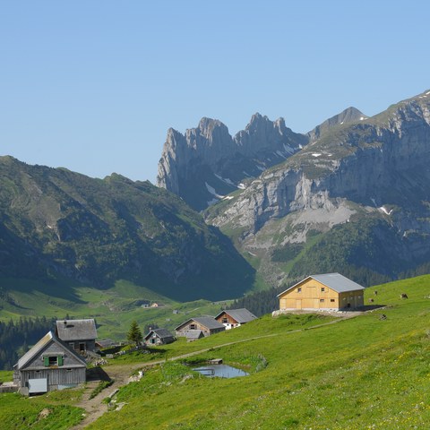 Alp Sigel. Vergrösserte Ansicht