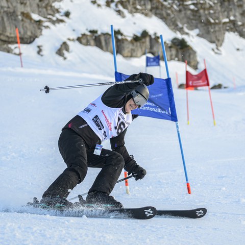 _RS86686.jpg. Vergrösserte Ansicht