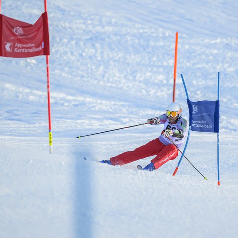 _RS87065.jpg. Vergrösserte Ansicht