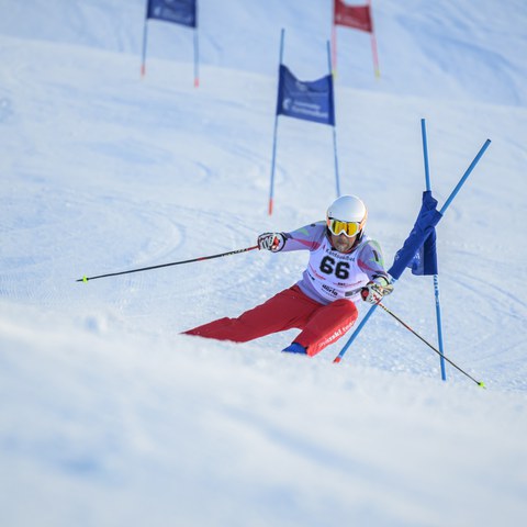 _RS87440.jpg. Vergrösserte Ansicht