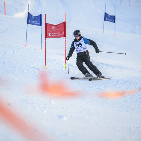 _RS87772.jpg. Vergrösserte Ansicht