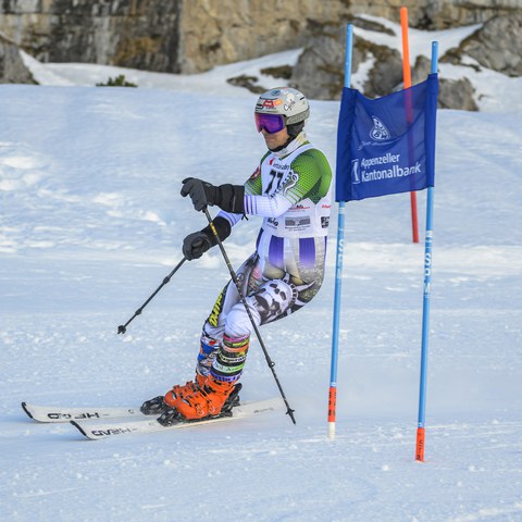 _RS87895.jpg. Vergrösserte Ansicht